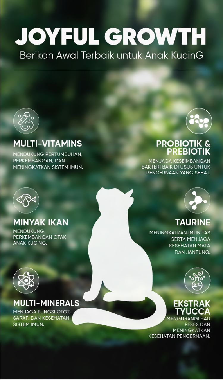 Jual Majes Makanan Kucing Kering High Protein Growth Care Rasa Susu ...