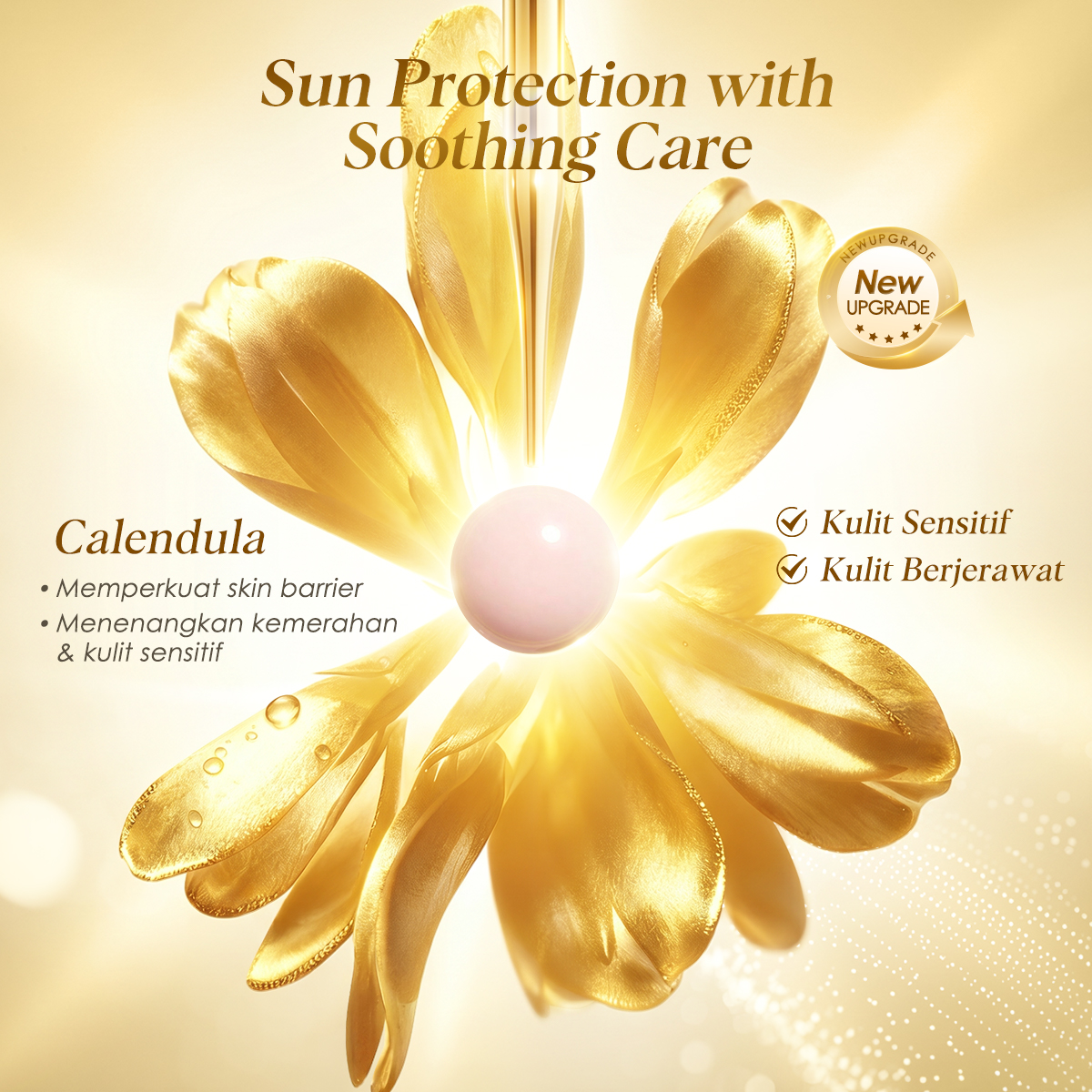 Jual Glowsicha - Luminous Glow Tone Up Sunscreen SPF 50 PA+++ Sunscreen ...