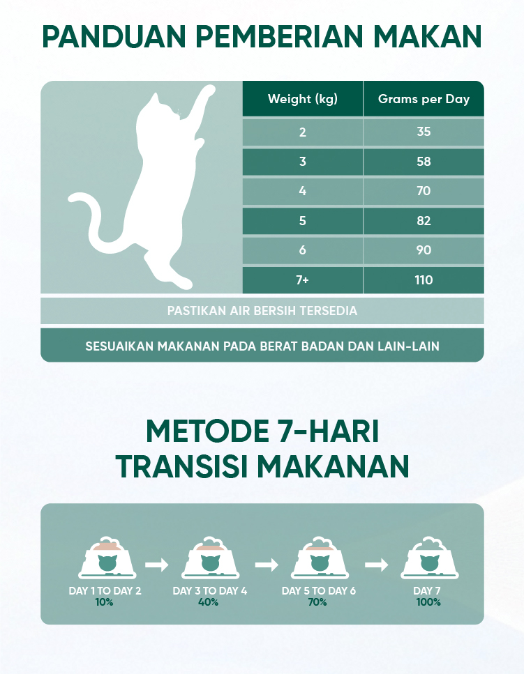 Jual Majes Makanan Kucing Kering High Protein Growth Care Rasa Susu ...