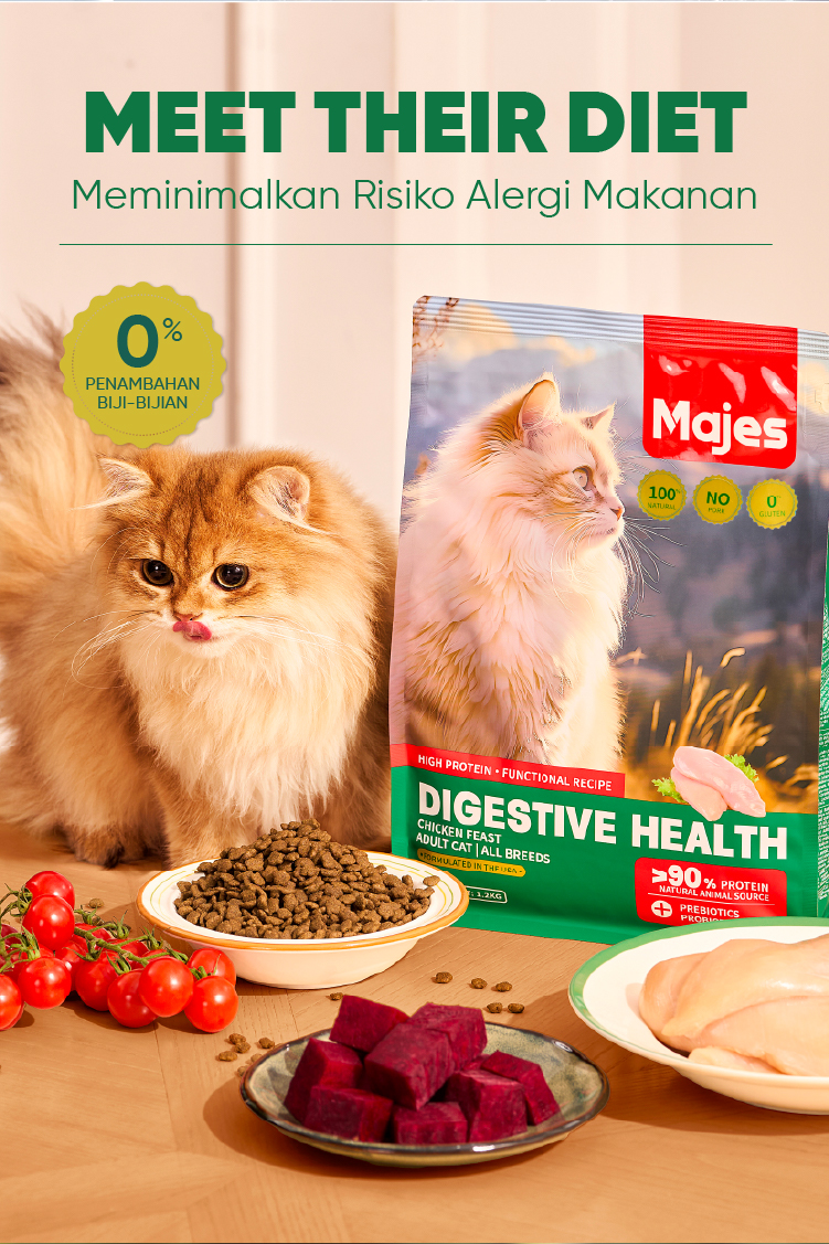 Jual Majes Makanan Kucing Kering High Protein Digestive Care Rasa Ayam ...