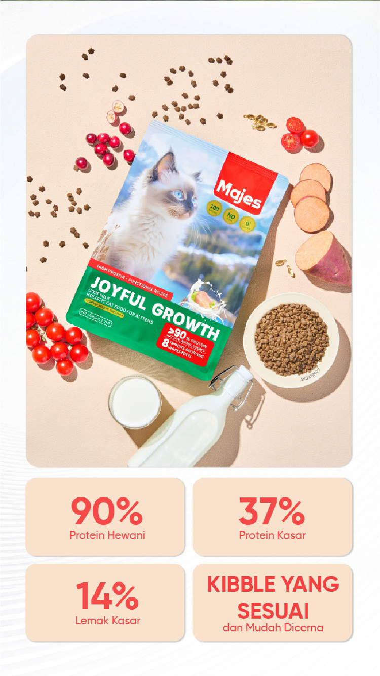 Jual Majes Makanan Kucing Kering High Protein Growth Care Rasa Susu ...
