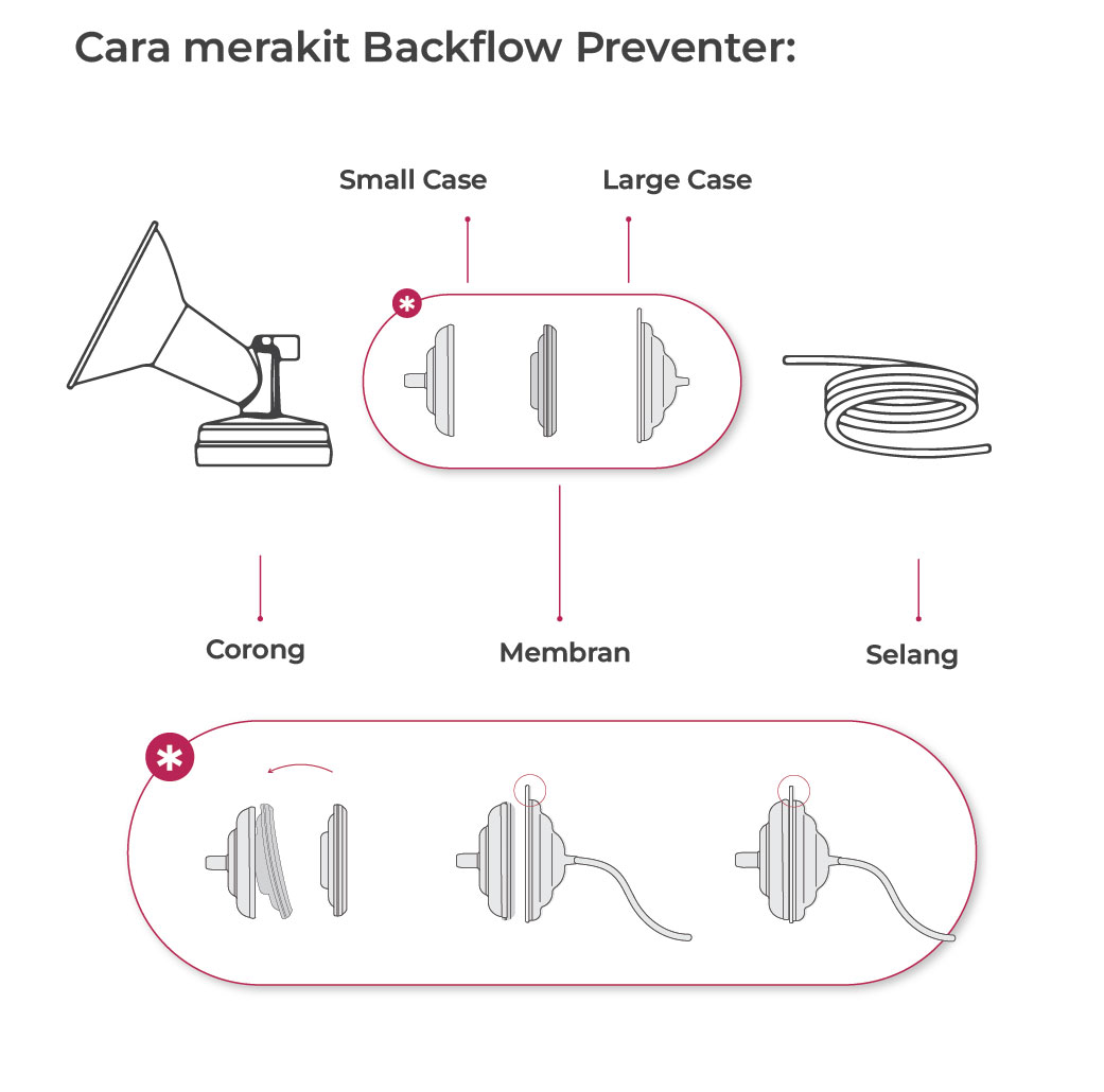 Jual Spectra Back Flow Preventer - Backflow Preventer Pompa Asi Spectra ...