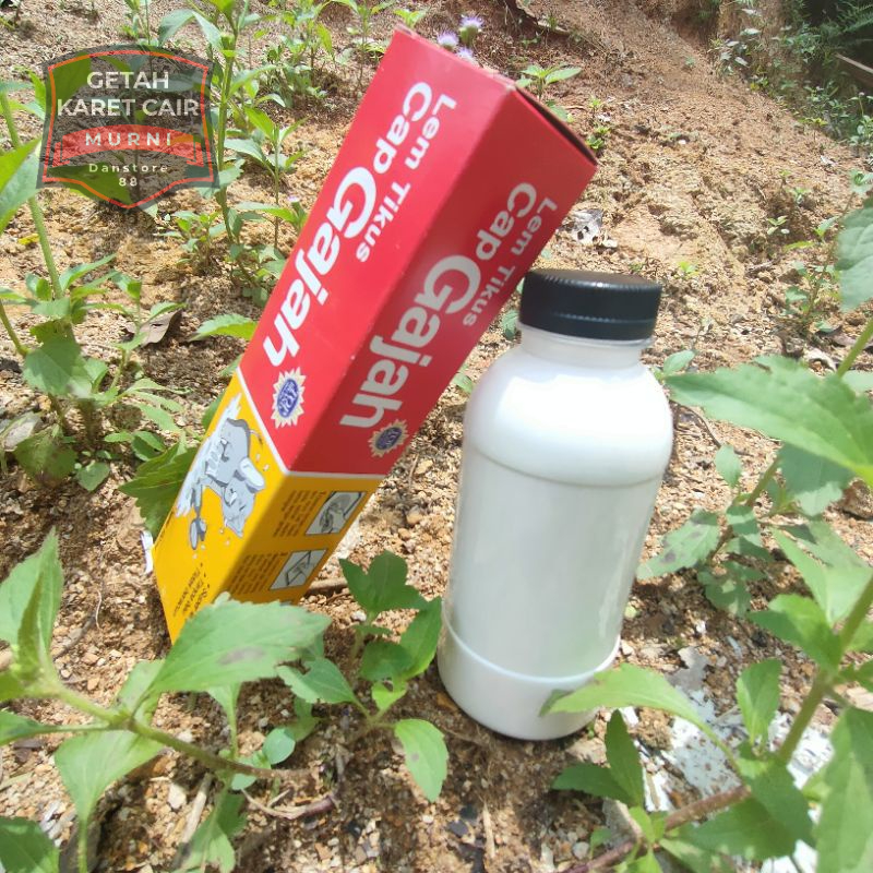 Jual Bisa COD getah karet cair murni 200ml dan lem tikus cap gajah (100 ...