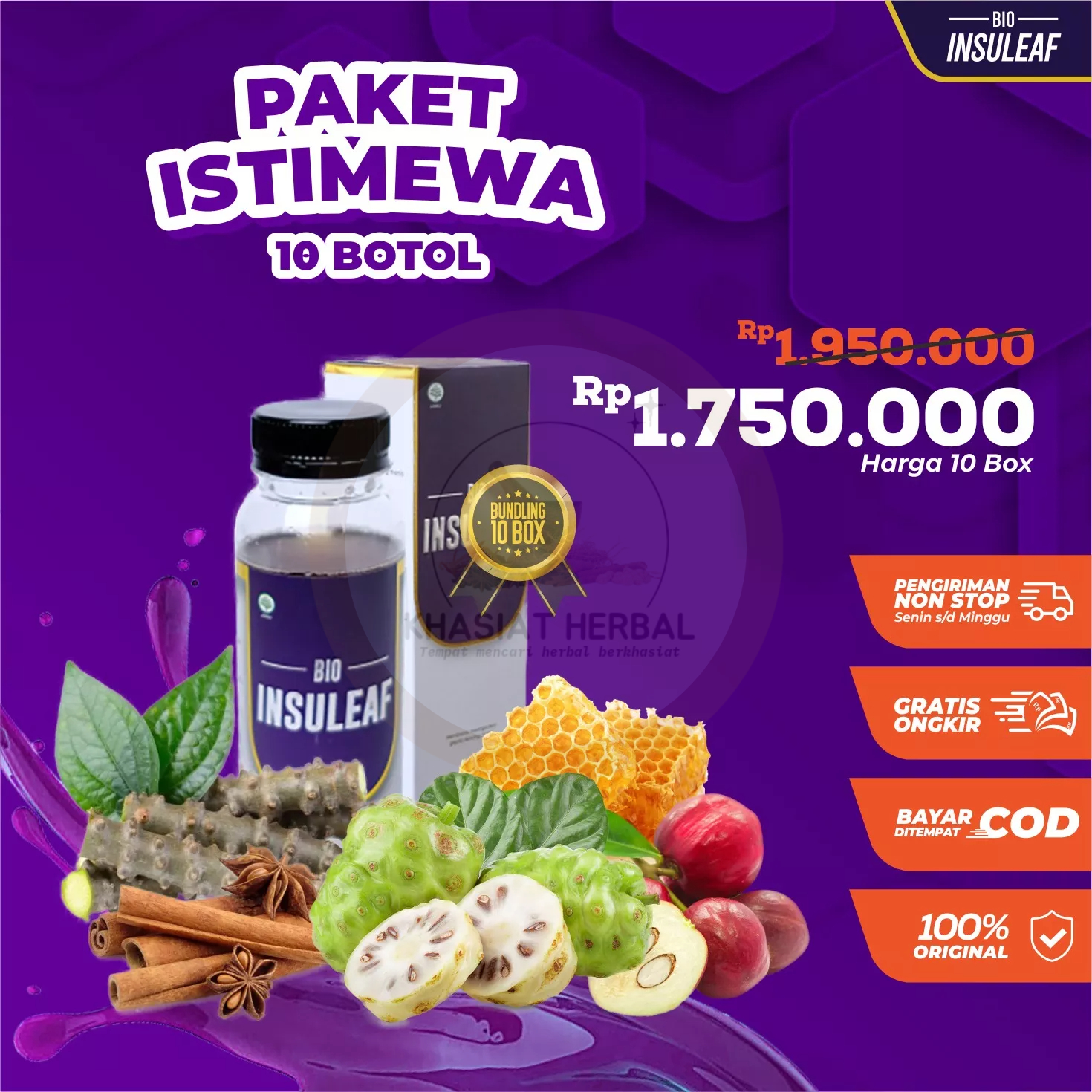 Jual Paket Box Bio Insuleaf X Lebih Ampuh Turunkan Gula Darah