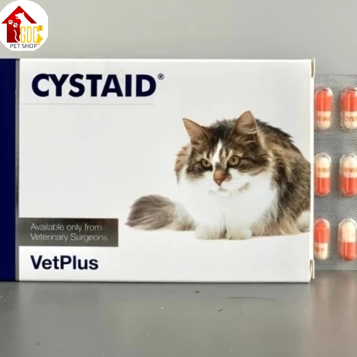 Jual 1 Box 30 Tablet Cystaid Plus Obat Untuk Masalah Saluran Kemih ...