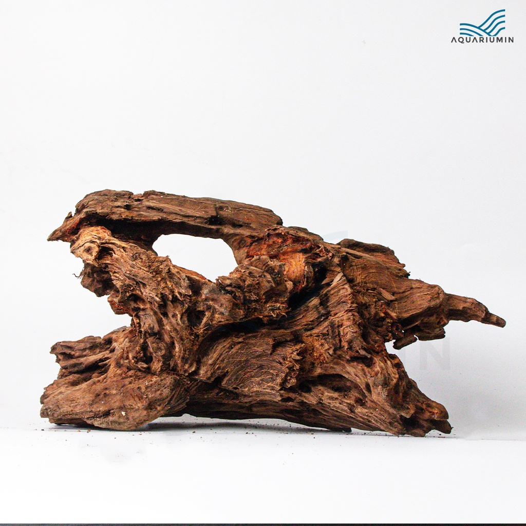 Jual Kayu Rentek / Rentek Wood Size XL Aquascape Aquarium | Shopee ...