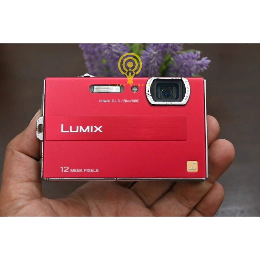 LUMIX DMC-FP8 Panasonic Lumix DMC-FP8 Digital Camera with Basic