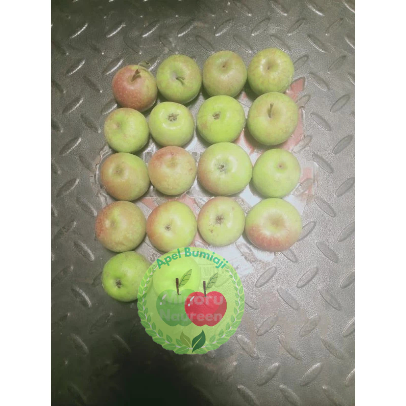 Jual Apel Cery Rome Beauty malang berat 1 kg | Shopee Indonesia