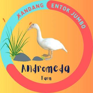 Jual Entok Jumbo Terlengkap & Harga Terbaru Januari 2025 | Shopee Indonesia