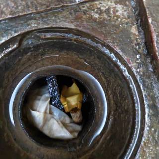Peternak Grosir Jual Ikan Cupang Murah Surabaya