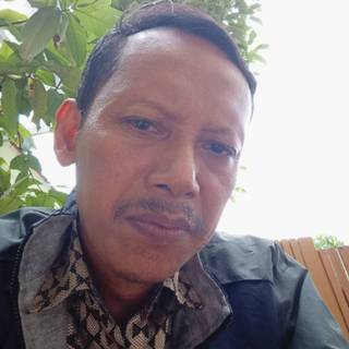 Bibit Alpukat