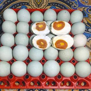 Toko Valve Surabaya