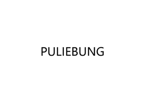 PULIEBUNG