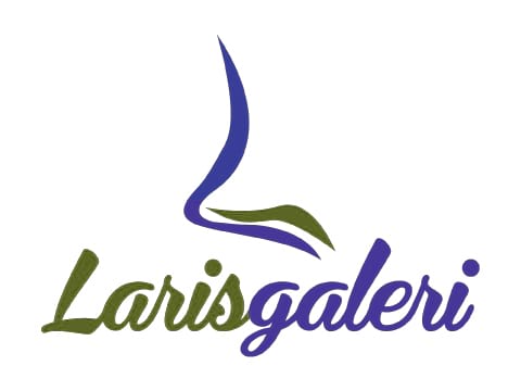 Larisgaleri