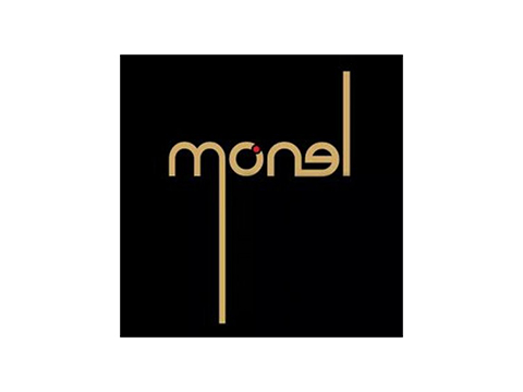 Monel