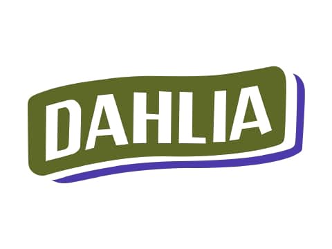 Dahlia