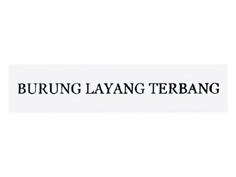 Burung Layang Terbang