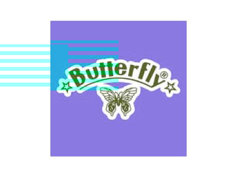Butterfly Stationery