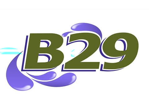 B29