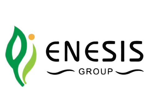 Enesis Group