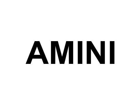 AMINI 
