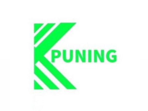 Puning