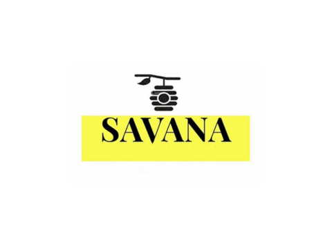 Savana Indonesia