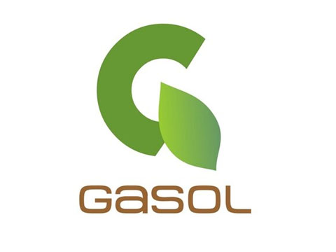 Gasol
