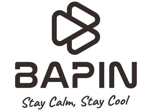Bapin