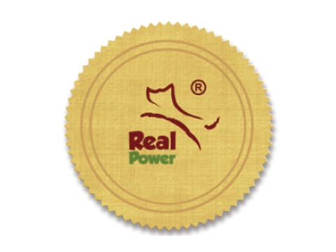 Real Power