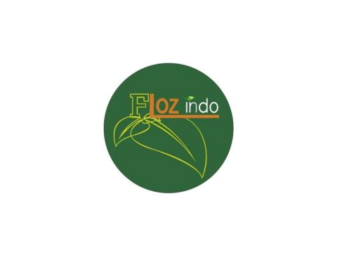 FLOZINDO