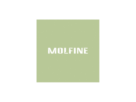 MOLFINE