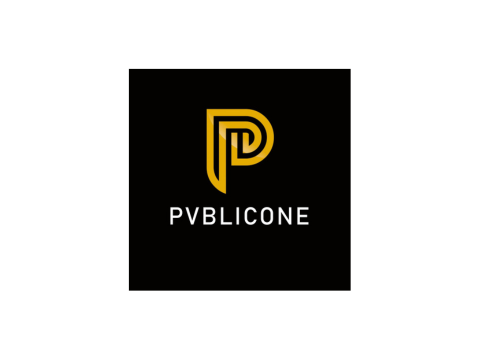 PVBLIC ONE