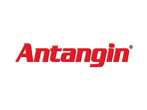 Antangin