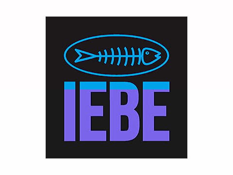 IEBE