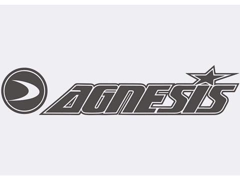Agnesis