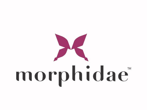 Morphidae