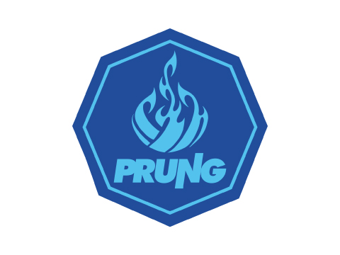 Prung