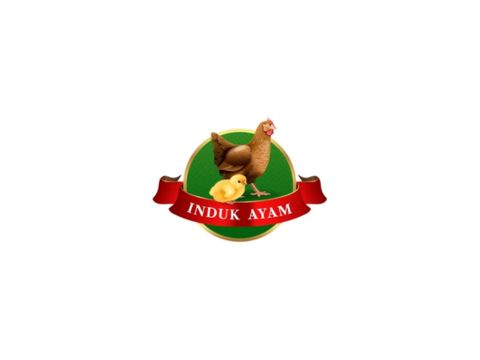 INDUK AYAM