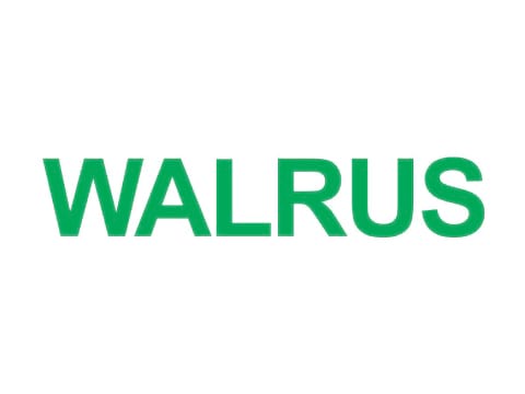 Walrus
