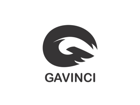 GAVINCI