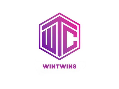 Win Twins
