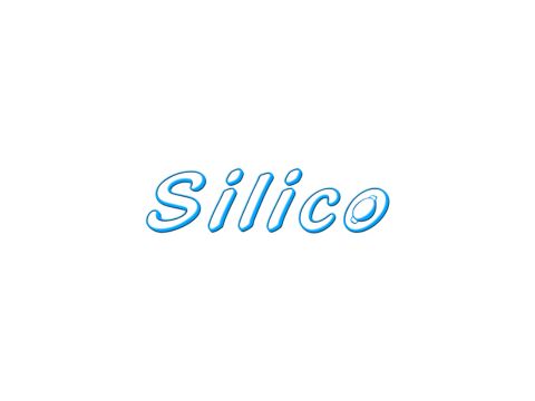 Silico