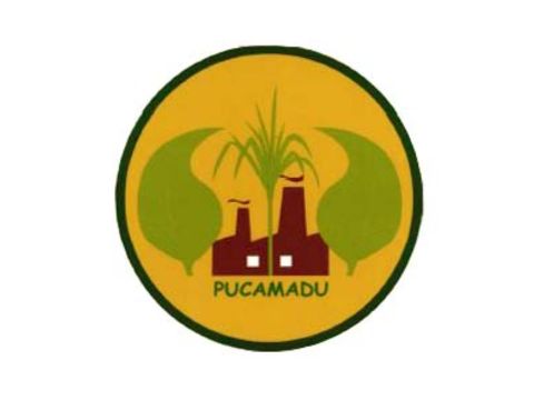 Pucamadu