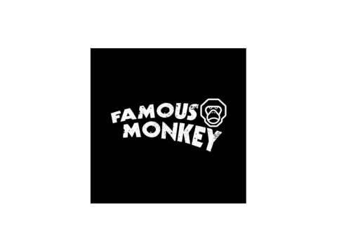 FAMOUS MONKEY
