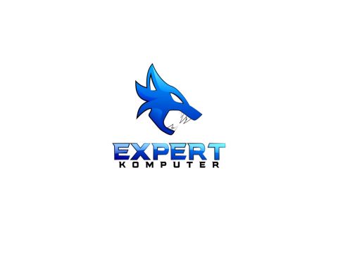 Expert Komputer