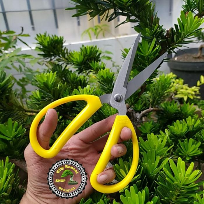 Jual GUNTING DAHAN RANTING HASTON STAINLESS STEEL | Shopee Indonesia