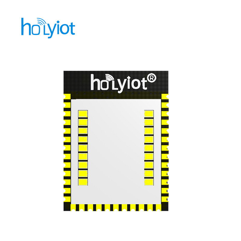 Jual FCC CE Holyiot 18010 Nordic NRF52840 Module Bluetooth Low Energy ...