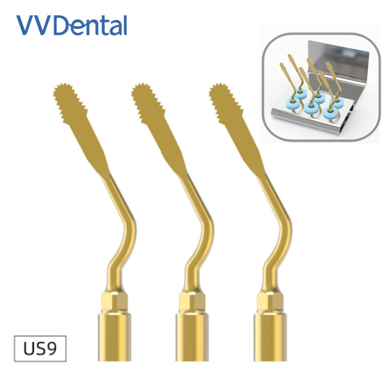 Jual Dental US9 Scaler Dental Piezo Surgery Tips Suits for WOODPECKER ...
