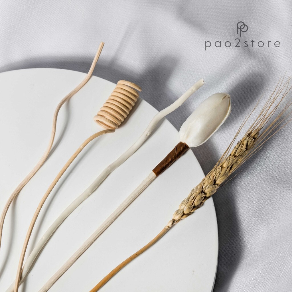 Jual [ECER] Rattan / Rotan Reed Stick - Sola Dried Flower / Bunga ...